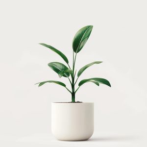 Accueil product 04