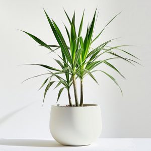 Accueil product 05